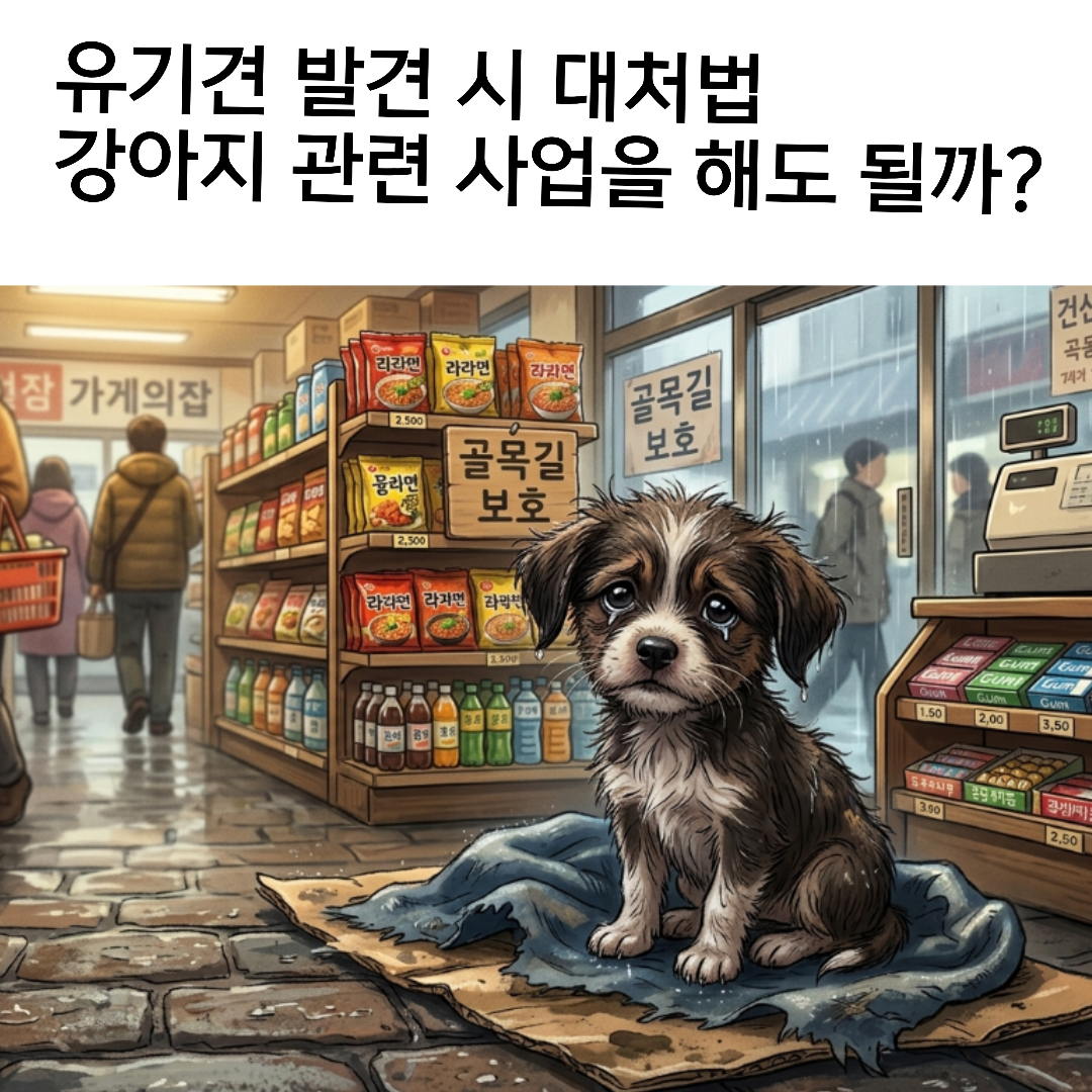 blog image no.1